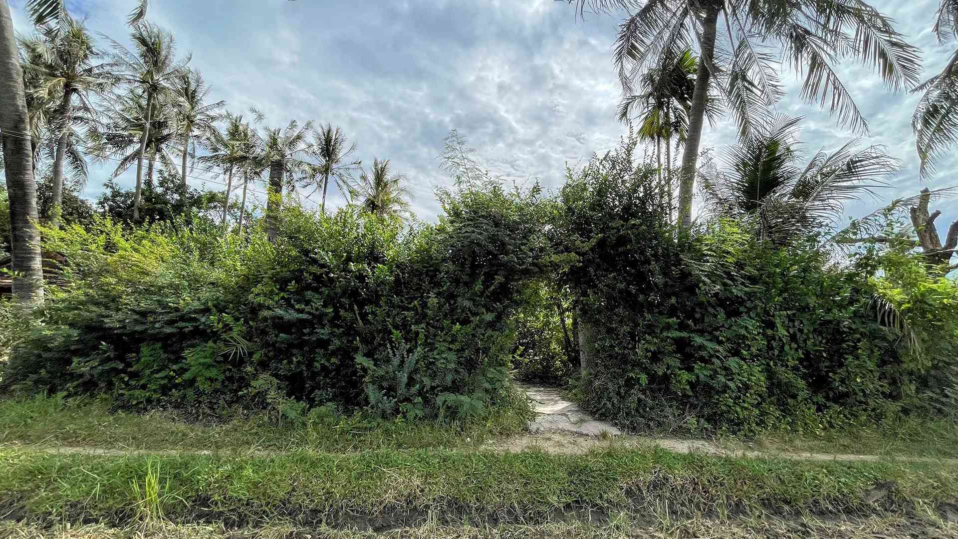 Nhà thờ họ Nguyễn